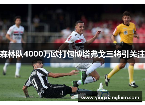 森林队4000万欧打包博塔弗戈三将引关注